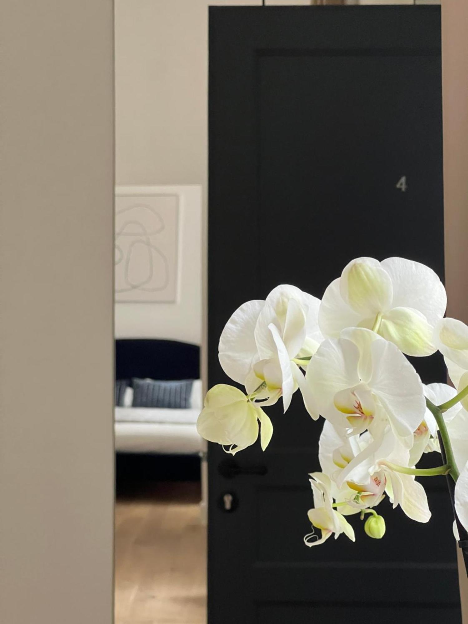 Апартаменты Situation Exceptionnelle Harmony III Каркассон Экстерьер фото